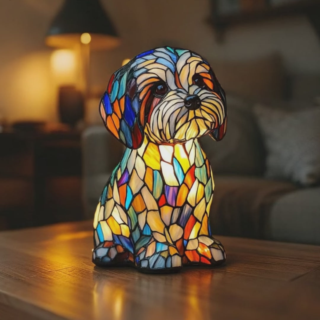 Load video: SAM | DOG LAMP